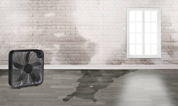 Reliable Lusk, WY Water damage restoration Solutions