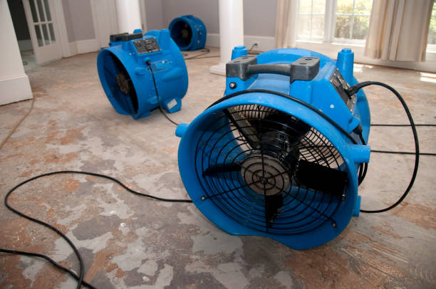  Lusk, WY Water damage restoration Pros