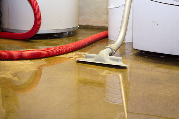 Best Commercial water damage restoration  in Lusk, WY